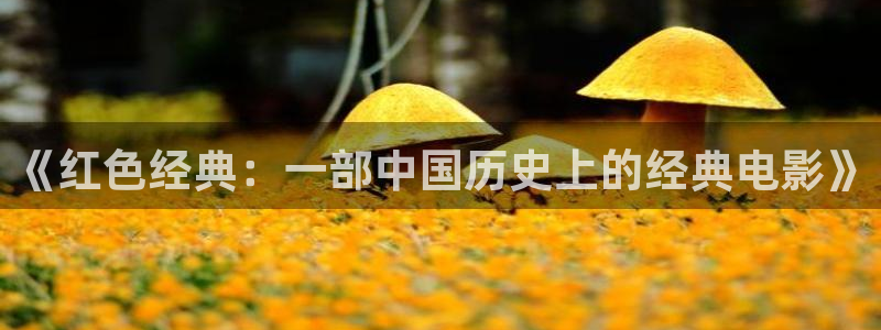 四川草莓：《红色经典：一部中国历史上的经典电影》